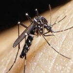 Importante disminución de casos de dengue en la Región de Salud Reconquista